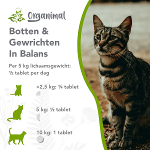 Botten & Gewrichten in Balans voor katten
