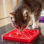 Lickimat voor katten Catster roze met een kat
