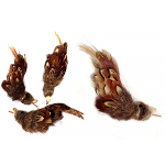 Purrs Wren Bird ClipOn 