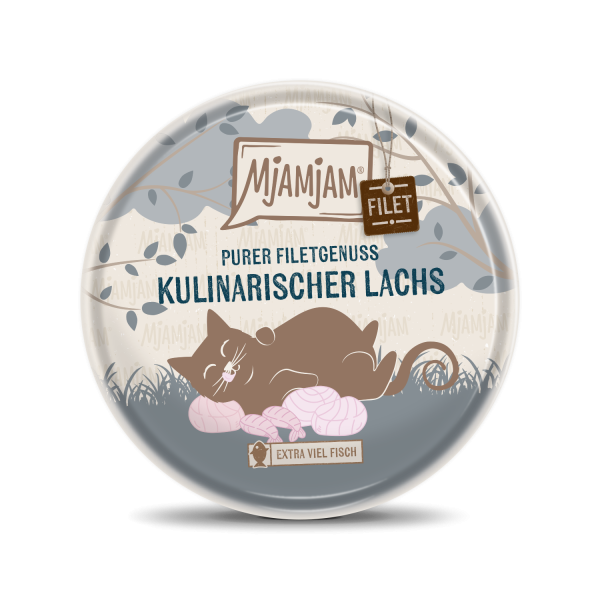Mjamjam Filet Blikje voor Katten 80g zalm